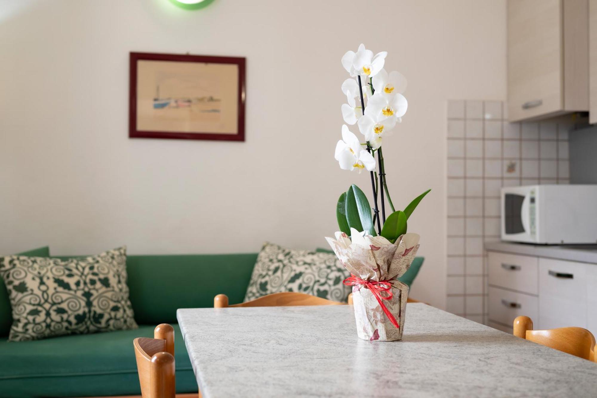 Villa Liberty San Vincenzo Dış mekan fotoğraf